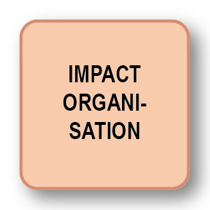 Impact Organisation